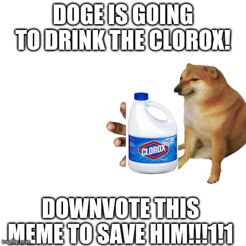 oh no! | DOGE IS GOING TO DRINK THE CLOROX! DOWNVOTE THIS MEME TO SAVE HIM!!!1!1 | image tagged in haha tags go brr,tag,taggo,tagag,haha tags goes brrr | made w/ Imgflip meme maker