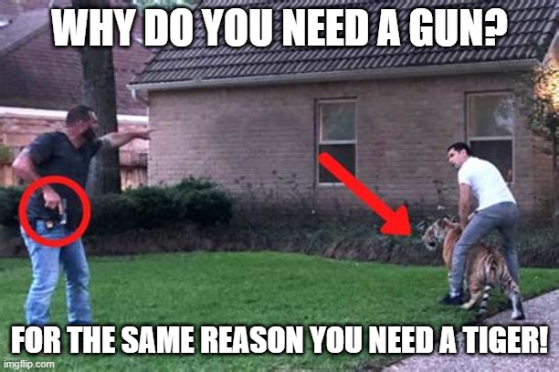 Why do you need? | WHY DO YOU NEED A GUN? FOR THE SAME REASON YOU NEED A TIGER! | image tagged in gun,tiger | made w/ Imgflip meme maker