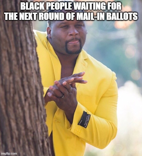 Black guy hiding behind tree | BLACK PEOPLE WAITING FOR THE NEXT ROUND OF MAIL-IN BALLOTS | image tagged in black guy hiding behind tree | made w/ Imgflip meme maker