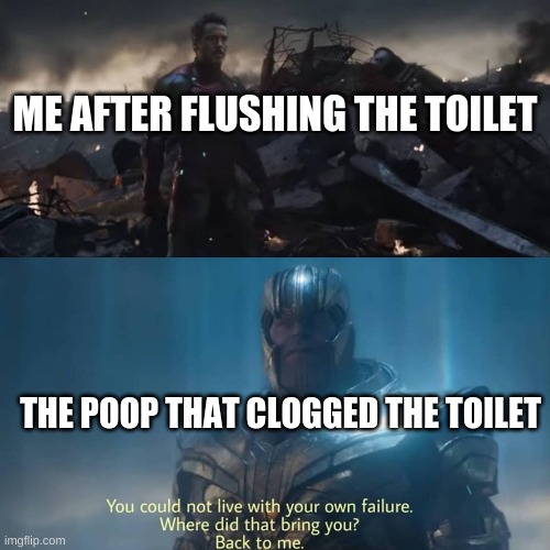 Thanos you could not live with your own failure | ME AFTER FLUSHING THE TOILET; THE POOP THAT CLOGGED THE TOILET | image tagged in thanos you could not live with your own failure | made w/ Imgflip meme maker