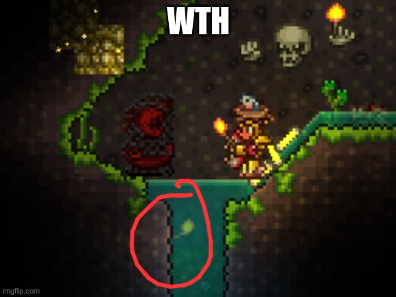 cursed terraria torch | WTH | image tagged in cursed terraria torch | made w/ Imgflip meme maker