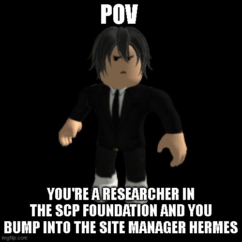 im honestly bored | POV; YOU'RE A RESEARCHER IN THE SCP FOUNDATION AND YOU BUMP INTO THE SITE MANAGER HERMES | image tagged in idk | made w/ Imgflip meme maker