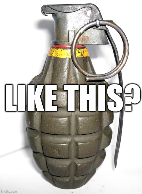 grenade | LIKE THIS? | image tagged in grenade | made w/ Imgflip meme maker