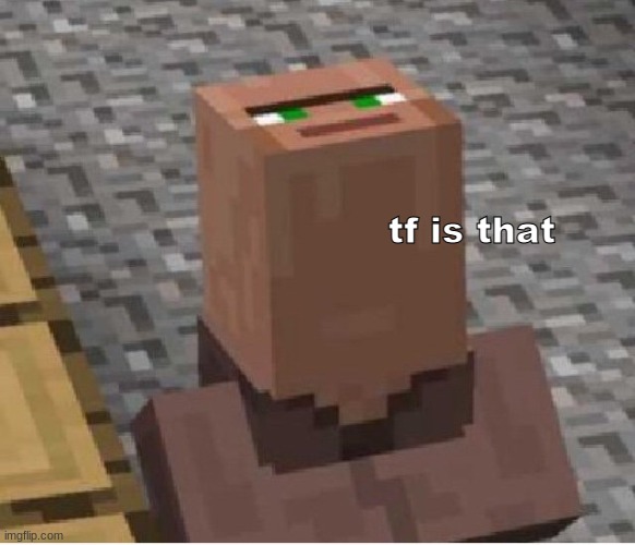 Minecraft Villager Looking Up | tf is that | image tagged in minecraft villager looking up | made w/ Imgflip meme maker