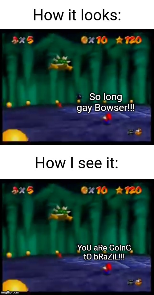 How it looks:; So long gay Bowser!!! How I see it:; YoU aRe GoInG tO bRaZiL!!! | image tagged in memes,so long gay bowser,super mario 64,you are going to brazil | made w/ Imgflip meme maker