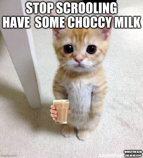 Cute Cat | STOP SCROOLING HAVE  SOME CHOCCY MILK; WOULD YOU ALSO LIKE AN AK 47?? | image tagged in memes,cute cat | made w/ Imgflip meme maker
