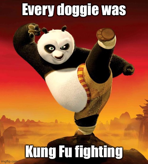 kung fu panda | Every doggie was Kung Fu fighting | image tagged in kung fu panda | made w/ Imgflip meme maker