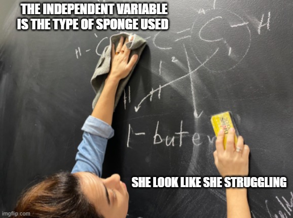 What Johnson Erased | THE INDEPENDENT VARIABLE IS THE TYPE OF SPONGE USED; SHE LOOK LIKE SHE STRUGGLING | image tagged in what johnson erased | made w/ Imgflip meme maker
