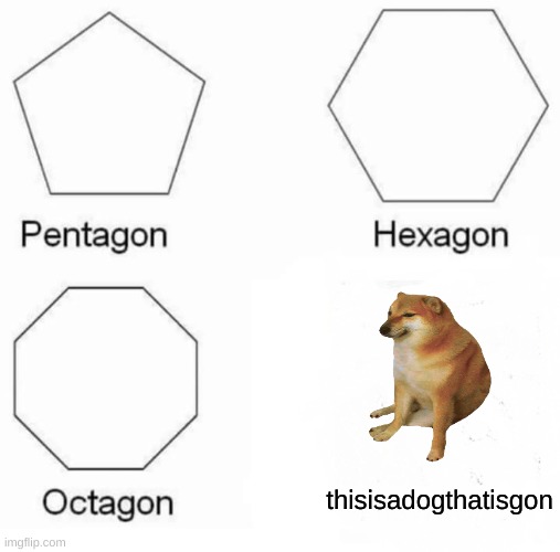 Pentagon Hexagon Octagon | thisisadogthatisgon | image tagged in memes,pentagon hexagon octagon | made w/ Imgflip meme maker