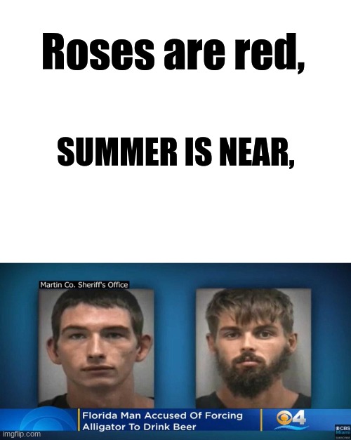 wut | Roses are red, SUMMER IS NEAR, | image tagged in blank white template,florida man,funny,florida | made w/ Imgflip meme maker