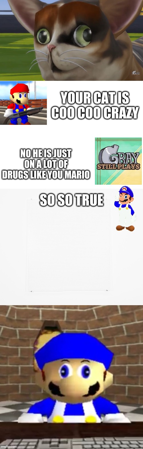 mario texts graystillplays | YOUR CAT IS COO COO CRAZY; NO HE IS JUST ON A LOT OF DRUGS LIKE YOU MARIO; SO SO TRUE | image tagged in spleens the cat,blank white template,blank,smg4 derp | made w/ Imgflip meme maker
