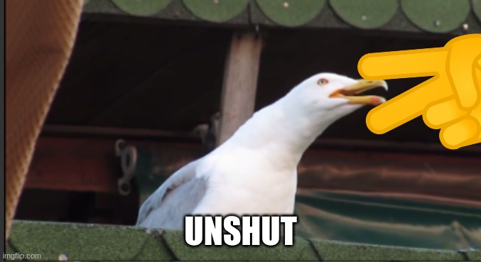 UNSHUT | made w/ Imgflip meme maker