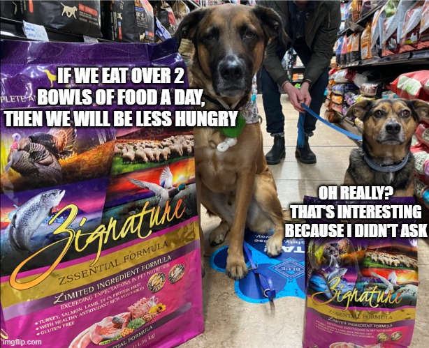 What Braxton & Quinn Ate | IF WE EAT OVER 2 BOWLS OF FOOD A DAY, THEN WE WILL BE LESS HUNGRY; OH REALLY? THAT'S INTERESTING BECAUSE I DIDN'T ASK | image tagged in what braxton quinn ate | made w/ Imgflip meme maker