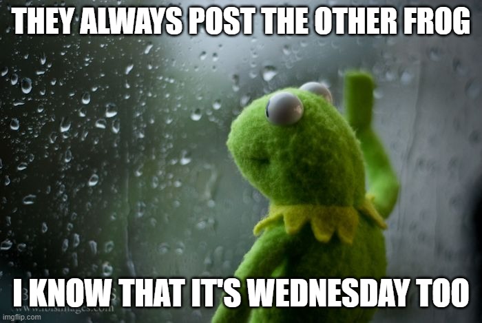 kermit window | THEY ALWAYS POST THE OTHER FROG; I KNOW THAT IT'S WEDNESDAY TOO | image tagged in kermit window | made w/ Imgflip meme maker