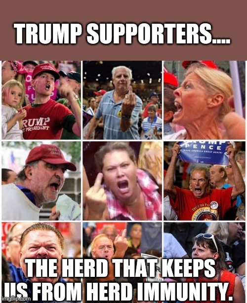 Herd immunity | TRUMP SUPPORTERS.... THE HERD THAT KEEPS US FROM HERD IMMUNITY. | image tagged in trump supporters,maga,conservatives,donald trump,covid19,liberals | made w/ Imgflip meme maker