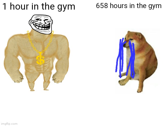 Gym timw | 1 hour in the gym; 658 hours in the gym | image tagged in memes,buff doge vs cheems | made w/ Imgflip meme maker