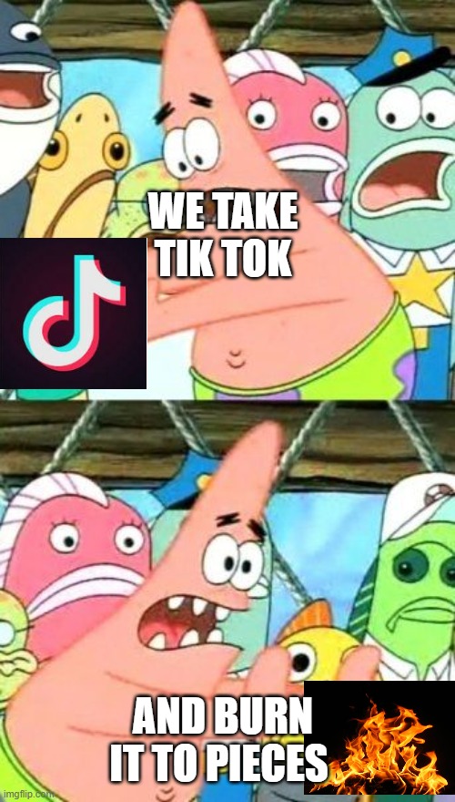 Put It Somewhere Else Patrick | WE TAKE TIK TOK; AND BURN IT TO PIECES | image tagged in memes,put it somewhere else patrick | made w/ Imgflip meme maker