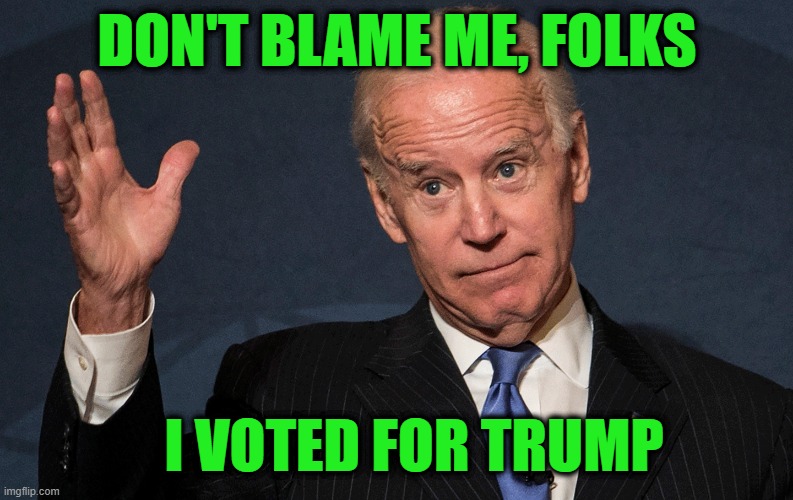 As The World Burns | DON'T BLAME ME, FOLKS; I VOTED FOR TRUMP | image tagged in joe biden,donald j trump,border crisis,middle east,high gas prices | made w/ Imgflip meme maker