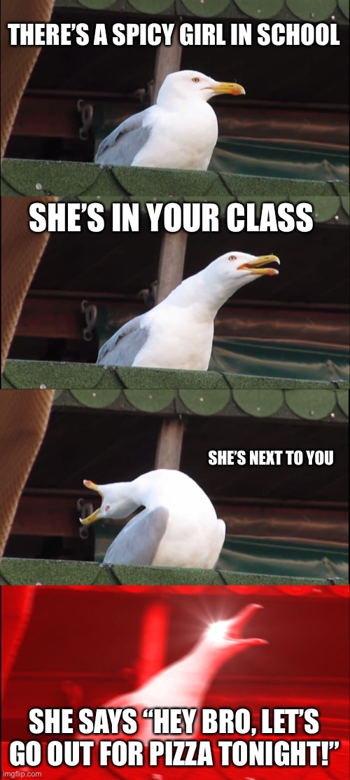 A hot chick | THERE’S A SPICY GIRL IN SCHOOL; SHE’S IN YOUR CLASS; SHE’S NEXT TO YOU; SHE SAYS “HEY BRO, LET’S GO OUT FOR PIZZA TONIGHT!” | image tagged in memes,inhaling seagull,school | made w/ Imgflip meme maker