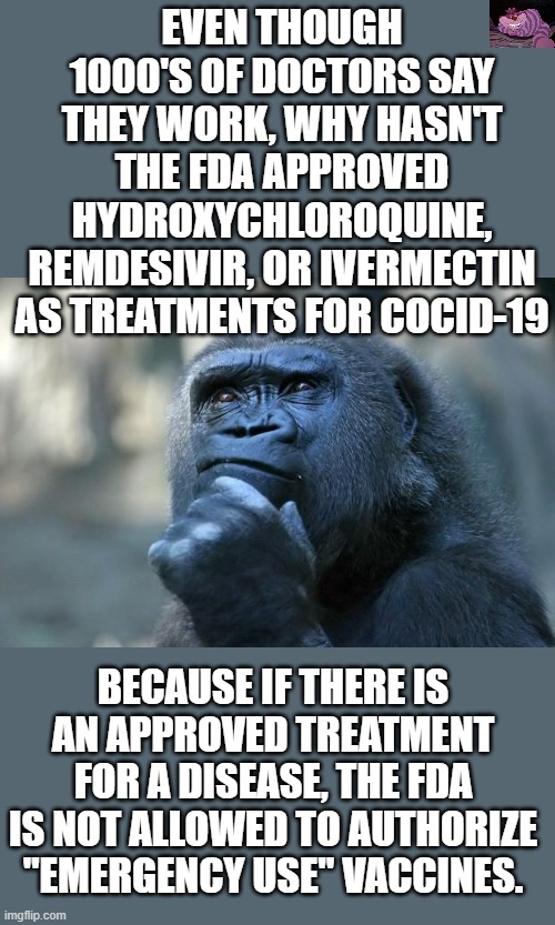 If you ever wondered why the FDA does not have an approved treatment protocol for COVID. | EVEN THOUGH 1000'S OF DOCTORS SAY THEY WORK, WHY HASN'T THE FDA APPROVED HYDROXYCHLOROQUINE, REMDESIVIR, OR IVERMECTIN AS TREATMENTS FOR COCID-19; BECAUSE IF THERE IS AN APPROVED TREATMENT FOR A DISEASE, THE FDA IS NOT ALLOWED TO AUTHORIZE "EMERGENCY USE" VACCINES. | image tagged in deep thoughts | made w/ Imgflip meme maker