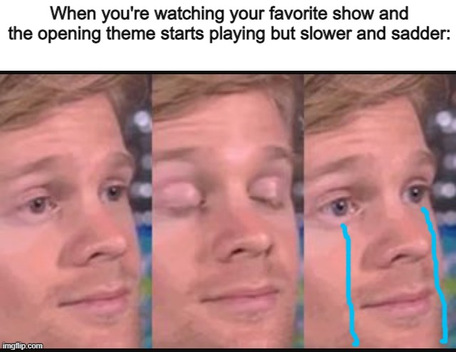 It's the final episode... | When you're watching your favorite show and the opening theme starts playing but slower and sadder: | image tagged in blinking guy,memes,funny,fun | made w/ Imgflip meme maker