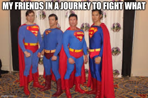 The brothers are FINALY working together | MY FRIENDS IN A JOURNEY TO FIGHT WHAT | image tagged in the brothers are finaly working together | made w/ Imgflip meme maker