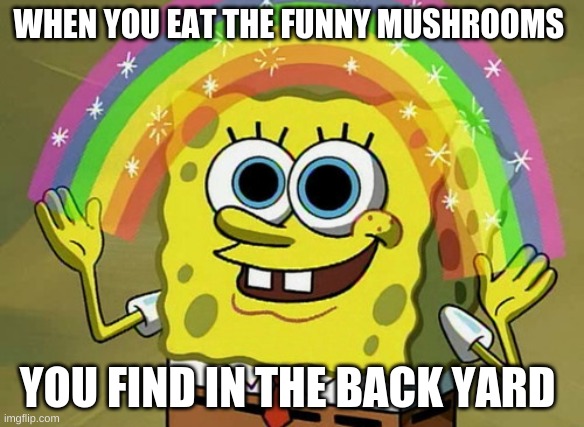 it brings out your imgination | WHEN YOU EAT THE FUNNY MUSHROOMS; YOU FIND IN THE BACK YARD | image tagged in memes,imagination spongebob | made w/ Imgflip meme maker