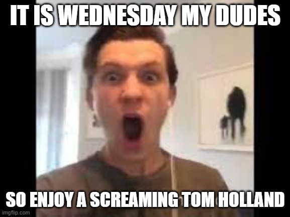 IT IS WEDNESDAY MY DUDES; SO ENJOY A SCREAMING TOM HOLLAND | made w/ Imgflip meme maker