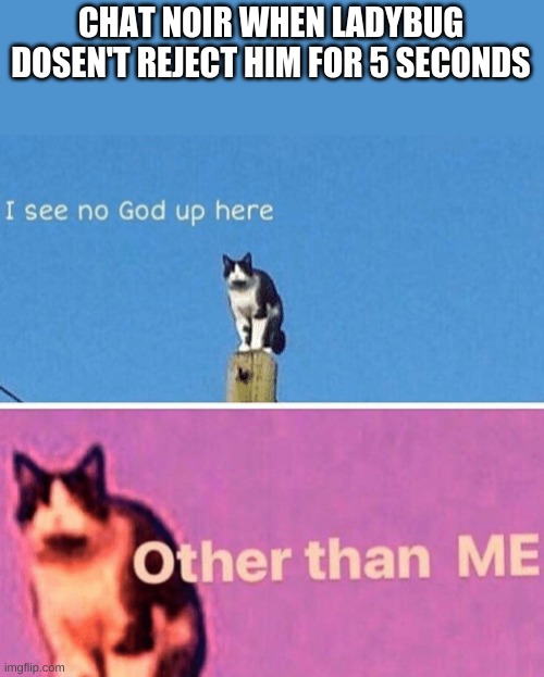 Hail pole cat | CHAT NOIR WHEN LADYBUG DOSEN'T REJECT HIM FOR 5 SECONDS | image tagged in hail pole cat | made w/ Imgflip meme maker