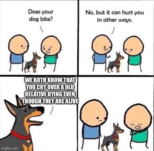 does your dog bite | WE BOTH KNOW THAT YOU CRY OVER A OLD RELATIVE DYING EVEN THOUGH THEY ARE ALIVE | image tagged in does your dog bite | made w/ Imgflip meme maker