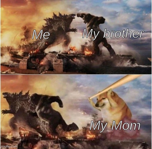 fun | My brother; Me; My Mom | image tagged in kong godzilla doge | made w/ Imgflip meme maker