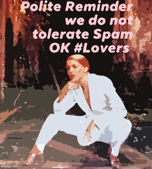 If you see the spamming of an image with hostile intent, flag it, message me, and/or send a feedback report to the site mods. | image tagged in kylie spam,spam,spammers,terms and conditions,harassment,imgflip mods | made w/ Imgflip meme maker