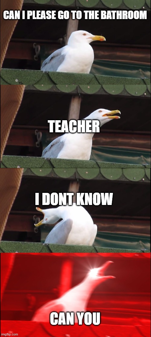 Inhaling Seagull | CAN I PLEASE GO TO THE BATHROOM; TEACHER; I DONT KNOW; CAN YOU | image tagged in memes,inhaling seagull | made w/ Imgflip meme maker