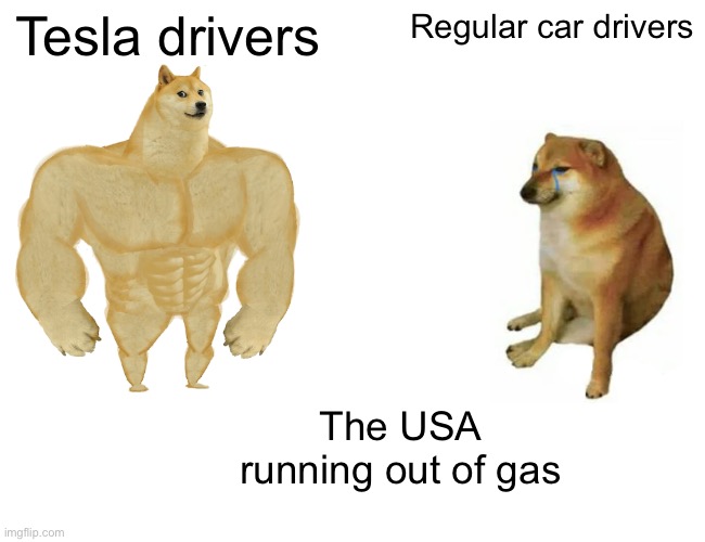 Nioce | Tesla drivers; Regular car drivers; The USA running out of gas | image tagged in memes,buff doge vs cheems | made w/ Imgflip meme maker