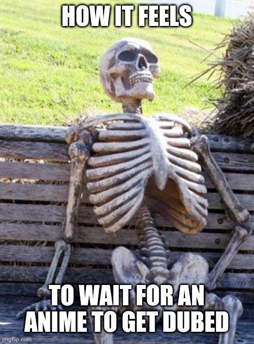 Dub watchers can relate. | HOW IT FEELS; TO WAIT FOR AN ANIME TO GET DUBED | image tagged in memes,waiting skeleton | made w/ Imgflip meme maker