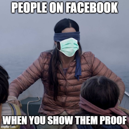 Bird Box | PEOPLE ON FACEBOOK; WHEN YOU SHOW THEM PROOF | image tagged in memes,bird box | made w/ Imgflip meme maker
