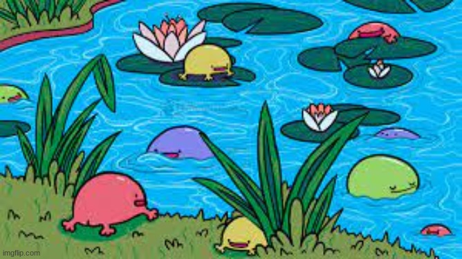 This image makes my heart melt (those are frogs ;w;'') | made w/ Imgflip meme maker