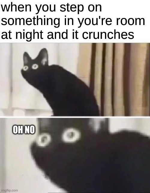 What was it | when you step on something in you're room at night and it crunches; OH NO | image tagged in oh no black cat,relateable | made w/ Imgflip meme maker