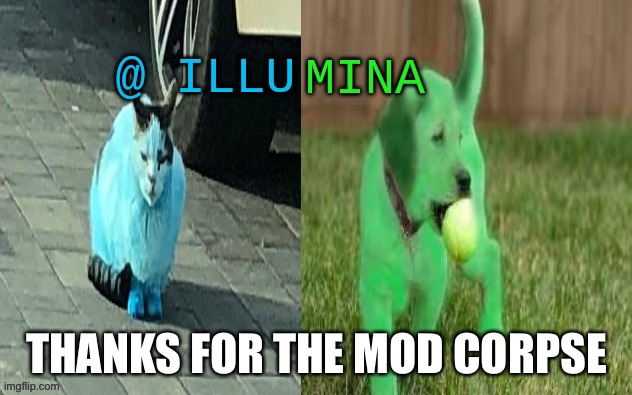 illumina new temp | THANKS FOR THE MOD CORPSE | image tagged in illumina new temp | made w/ Imgflip meme maker