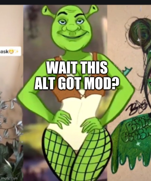 thicc shrek | WAIT THIS ALT GOT MOD? | image tagged in thicc shrek | made w/ Imgflip meme maker