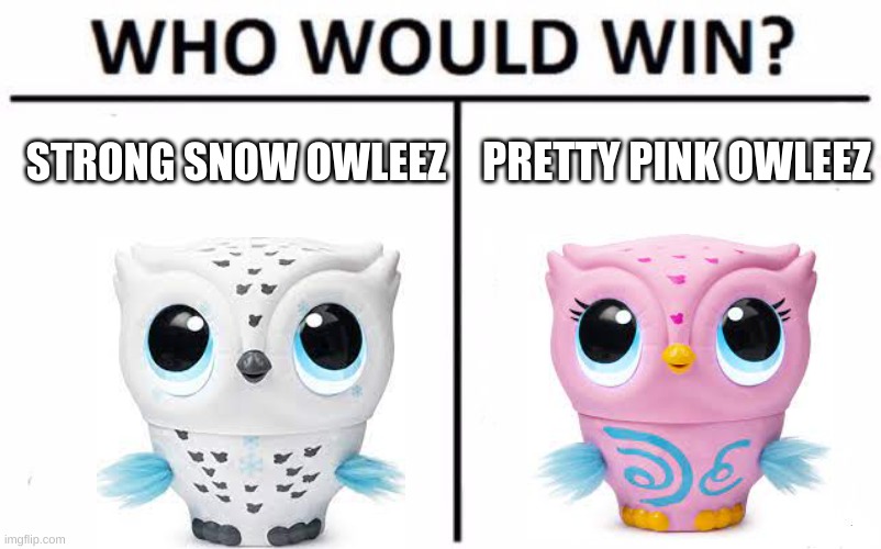 Strong snow owleez or pretty pink owleez? | STRONG SNOW OWLEEZ; PRETTY PINK OWLEEZ | image tagged in memes,who would win | made w/ Imgflip meme maker