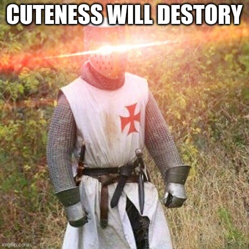 Woke Crusader | CUTENESS WILL DESTORY | image tagged in woke crusader | made w/ Imgflip meme maker