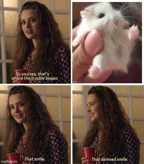 that damned smile | image tagged in that damned smile | made w/ Imgflip meme maker