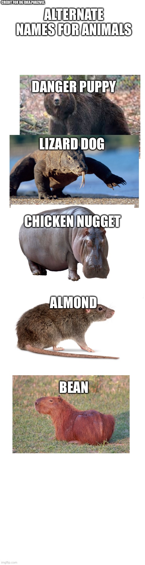 Alternate names for animals | CREDIT FOR OG IDEA:PARZIVEL; ALTERNATE NAMES FOR ANIMALS; DANGER PUPPY; LIZARD DOG; CHICKEN NUGGET; ALMOND; BEAN | made w/ Imgflip meme maker