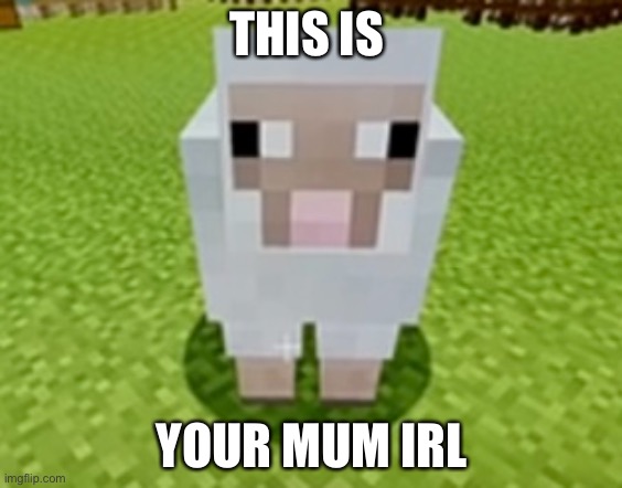 dont even try to fake this | THIS IS; YOUR MUM IRL | image tagged in your mum,k,nobody asked | made w/ Imgflip meme maker