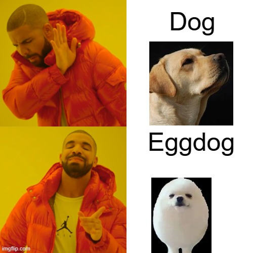 eggdog rules | Dog; Eggdog | image tagged in memes,drake hotline bling,dogs | made w/ Imgflip meme maker