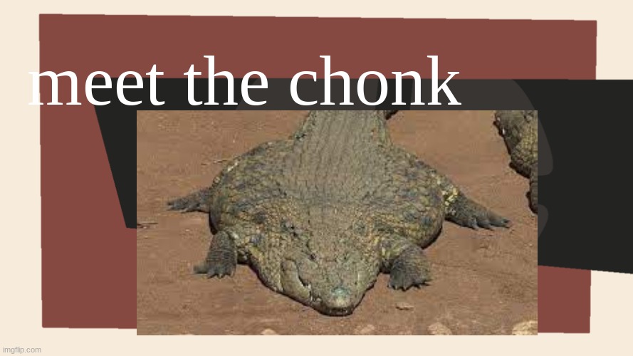 meet the chonk | made w/ Imgflip meme maker