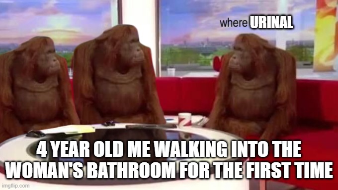 where banana | URINAL; 4 YEAR OLD ME WALKING INTO THE WOMAN'S BATHROOM FOR THE FIRST TIME | image tagged in where banana | made w/ Imgflip meme maker