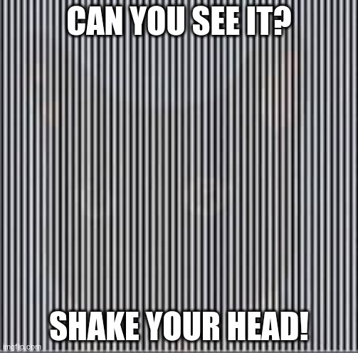 CAN YOU SEE IT? SHAKE YOUR HEAD! | made w/ Imgflip meme maker
