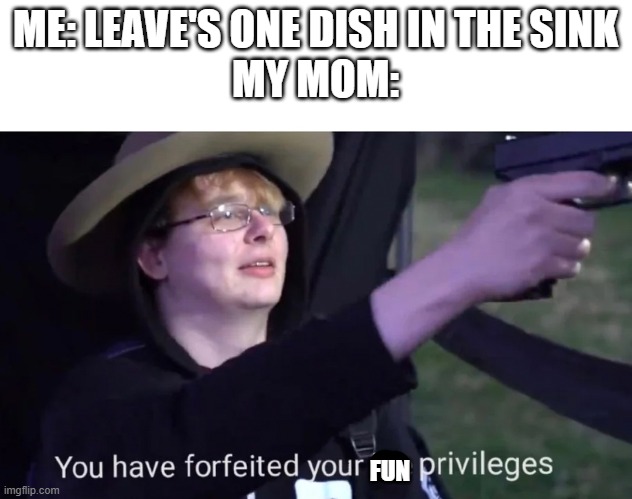 ....WHY CRUEL WORLD!!! | ME: LEAVE'S ONE DISH IN THE SINK
MY MOM:; FUN | image tagged in you have forfeited life privileges,funny,memes,so true memes,funny memes,funny meme | made w/ Imgflip meme maker